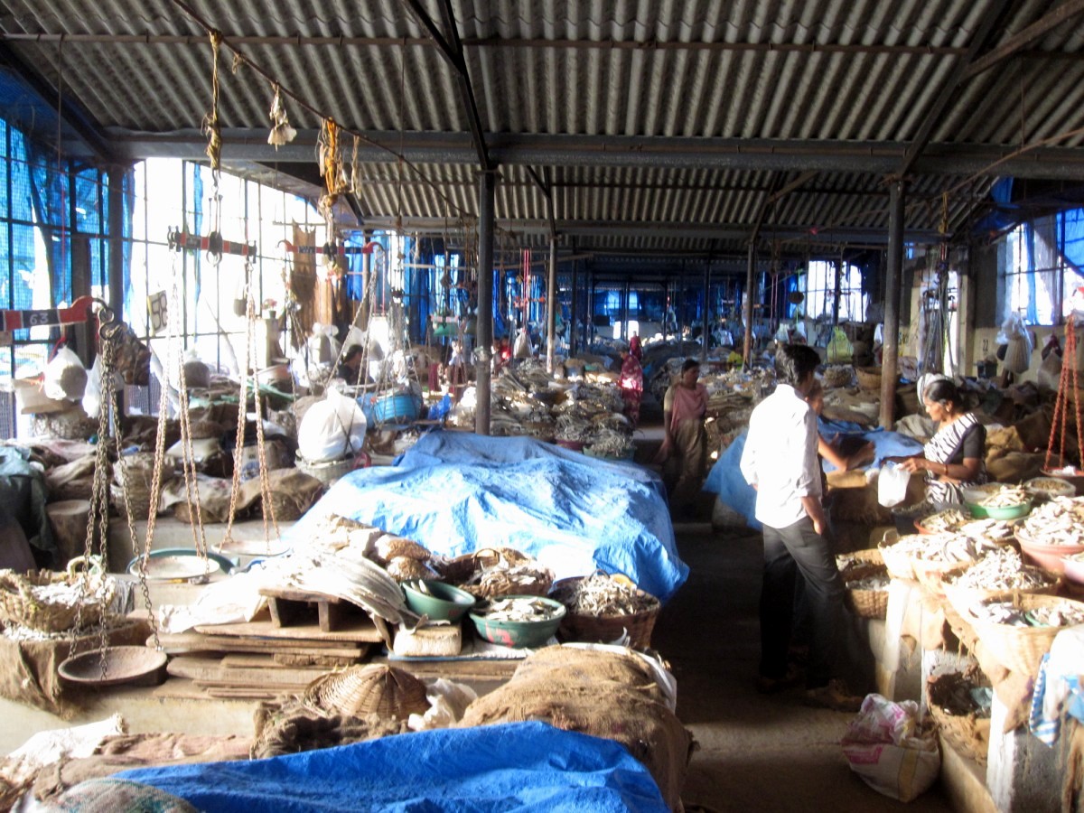 Mangalore Mangalore Mangalore Dry Fish Market
